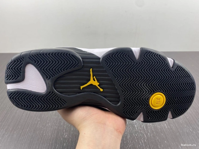 One Kick Laney 14 Jordan 487471-407 Retro 0713